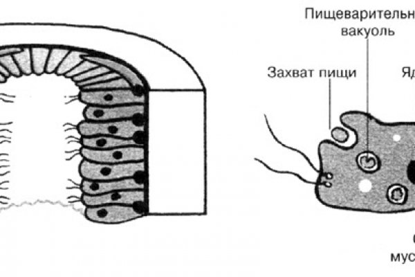 Кракен даркнет форум